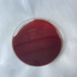 Liquid Malt Extract MLME40