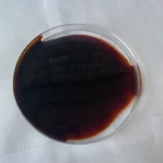Liquid Malt Extract MLME50