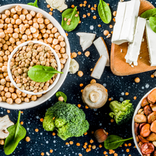 plants protein