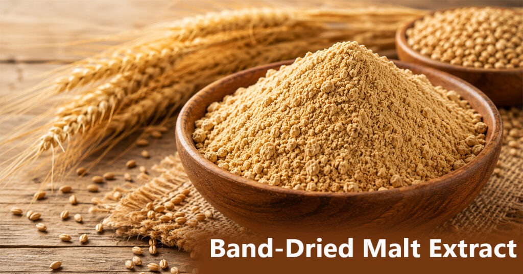 Band-Dried Malt Extract Powder for Food and Beverage Applications