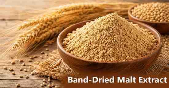 Band Dried Malt Extract Powder for Food and Beverage Applications